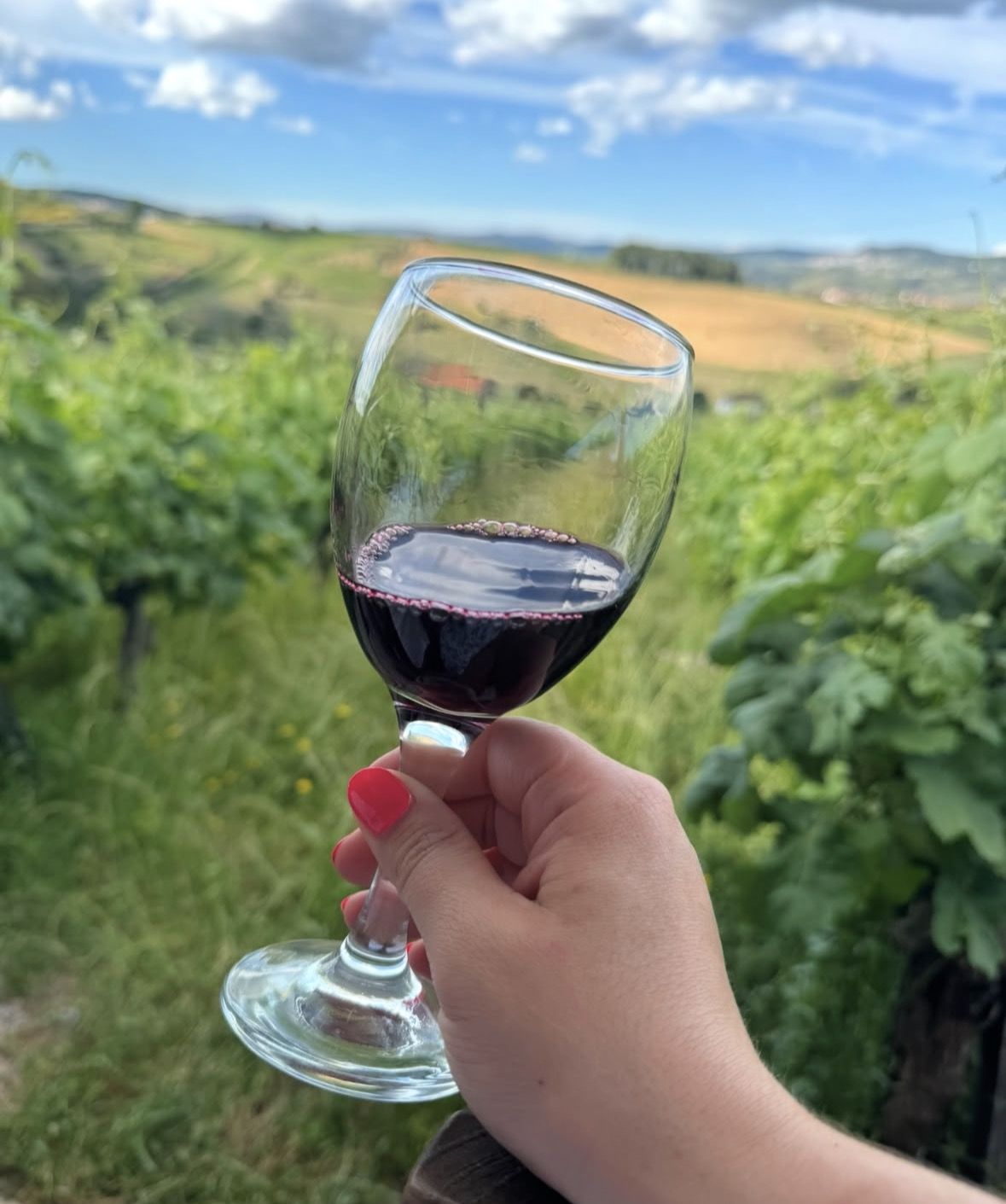 Scenic Linha do Douro train running alongside the river through terraced vineyard hillsides