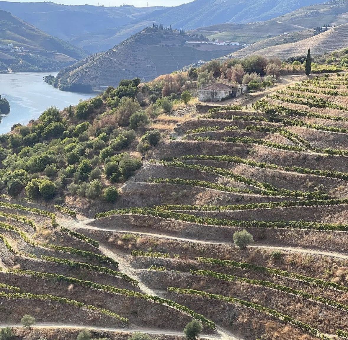 Complete Douro Valley Wine Tour with Lunch, Wine Tastings and River Cruise